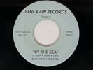 BANANA & HIS BUNCH By the Sea Obscure Moody Chicago Fuzz Garage NM 45 HEAR