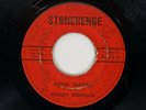 GOODLY RUBENSON Inside Outside Stonehenge Garage Psych 45 HEAR