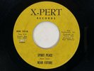 NEAR FUTURE Wait for the Dawn X-Pert Private Heavy Psych Hard Rock VG++ 45 HEAR