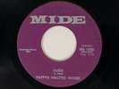 PAPPY'S HAUNTED HOUSE Dude Mide Garage Psych Fuzz Mod 45 HEAR