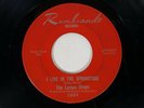 LEMON DROPS I Live in the Springtime Rembrandt 2nd Press DRUMS Fuzz Garage 45