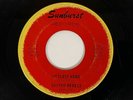 RHYTHM REBELS Littlest Hobo Sunburst Garage Rocker R&B 45 HEAR