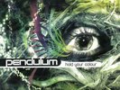 Pendulum Hold Votre Couleur (2018 Vinyle Edition 3xLP)