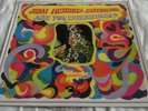 THE JIMI HENDRIX EXPERIENCE - ARE YOU EXPERIENCED ? - FRENCH - BARCLAY -1967- EX