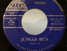 Garage Surf Tittyshaker Rocker 45 Pastels Jungle Run on Ark RITE PRESS HEAR