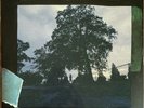 J. Cole 4 Your Eyez Only Vinyl Album LP Record Gatefold Dreamville Roc Nation