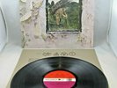 LED ZEPPELIN - 