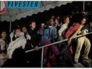 LP – SYLVESTER – LIVING PROOF   2 LP’s