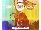 Cabin By the Sea LP Dirty Heads  Vinyl  discs : 1 Adult Alternative BRAND NEW