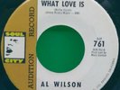 Al Wilson Now I Know What Love Is/Do What You Gotta Do 7