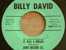 Billy David -It Was A Dream / The Chicken- Halloween R&B Rocker 45 Juno - Hear