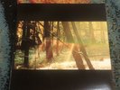Childish Gambino - CAMP Vinyl 2xLP Preowned VG+ Donald Glover Bonus Tracks