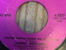 Sandi Sheldon - You’re Gonna Make Me Love You