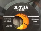 Youngtones By The Candlegrow/