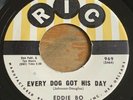 Eddie Bo -Every Dog Got His Day- Mod R&B 45 on Ric - Hear