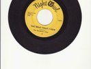 The Wanderer's Rest-The Boat That I Row-Rare 1960's Garage Rock 45-Night Owl Lbl