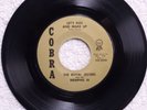 northern soul ROYAL JESTERS Let s Kiss and Make Up / Love Me COBRA 2222 M-