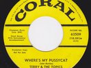 Mod Tittyshaker Garage 45 - TERRY & The TOPICS - Where's My Pussycat