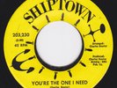 Northern Sweet Soul 45 - POSITIVE SOUNDS - You're The One I Need / I Almost Blew
