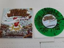 Teenage bottlerocket the ergs split 7 inch splatter Devo green day pop punk