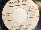 PORGY AND THE MONARCHS  MY HEART CRIES FOR YOU  MUSICOR PROMO Rare Northern Soul