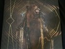 My Morning Jacket - It Still Moves - 2 LP Vinyl Record and CD version