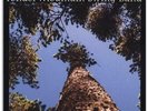 Yonder Mountain String Band Elevation 2-LP   20th Anniv. 180g Vinyl   Brand New