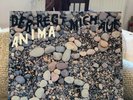 Anima (Paul +LimpeFuchs) 2LP der regt mich....Krautrock,  Ohr today 1982 + Flyer