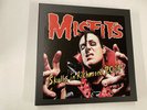 MISFITS SKULLS IN RICHMOND 2014 #9/10 LIVE HADADS LANE ALL CONTENTS 9.0