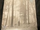 Taylor Swift FOLKLORE (IN THE TREES) Gatefold NEW BROWN COLORED VINYL 2 LP