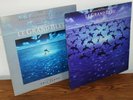 Le grand Bleu / volume 1 et 2  / vinyles / bande originale du film /  LP / 33T