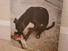 Slowthai Runt EP Limited Vinyl New & Sealed 2021 Reissue
