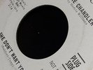 Lorraine Chandler 45-She Don't Want You 47-8980 1966 RCA  promo RARE VINTAGE SOU