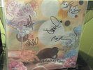AS TALL AS LIONS Vinyl LP Signed by the band   Great