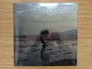 Phoebe Bridgers 'Copycat Killer' Vinyl EP 12