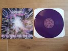 Anthrax - We’ve come for you all (Nuclear Blast Records 2003)