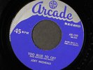JOEY MICHEALS: sixteen cats / too blue to cry ARCADE 7
