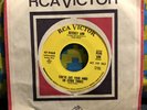 Northern Soul 45 Beverly Ann - You've Got Your Mind On Other Things RCA DJ PROMO