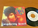 PRINCE & THE REVOLUTION Raspberry Beret 1985 GUATEMALA 7