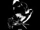 Pop Smoke Shoot For The Stars Aim For The Moon (deluxe) [3 Lp] - Vinyl (New)