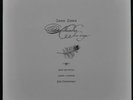 John Zorn - Alhambra love songs - Vinyl LP neu