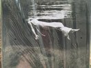 Undercurrent by Jim Hall/Bill Evans (Piano) Ltd #7792 Vinyl MFSL MOFI NEW SEALED