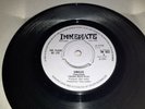 1ST PRESS - THE FLEUR DE LYS - CIRCLES - 1966 PHSYCH - FREAK BEAT -