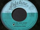 Brewster Crew   I'm One Who Know / Outta My Life   Lifeline   70's sweet soul 45