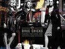 DIXIE CHICKS - TAKING THE LONG WAY (GATE) NEW VINYL