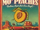 VARIOUS - Mo' Peaches Volume 1: Southern Rock That Time Forgot - Vinyl (LP)