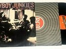 The Trinity Sessions by The Cowboy Junkies LP  Sweet Jane Vg