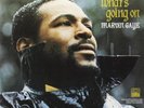 Marvin Gaye-What's Going On Vinyl / 12