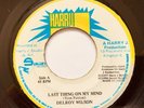 DELROY WILSON / LAST THING ON MY MIND /  REGGAE 7