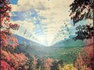 NEW Tame Impala – Innerspeaker (2010  2020)-4 x Vinyl, LP, Album, Special